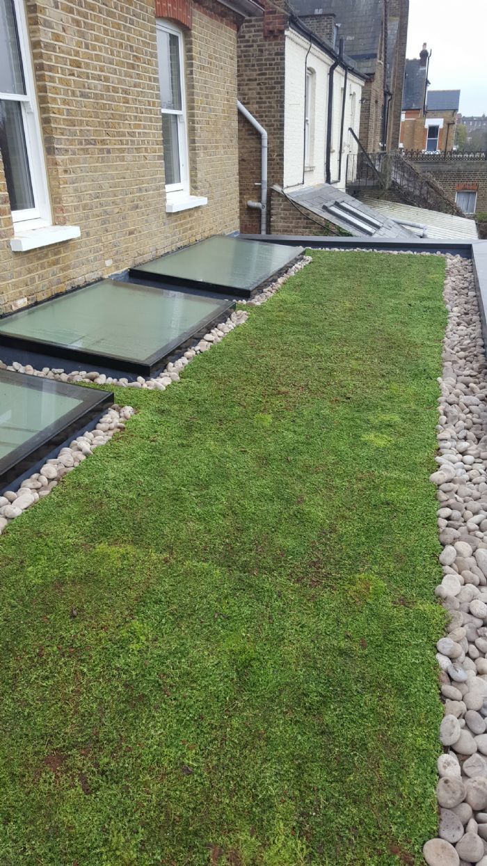 A roof topped with turf